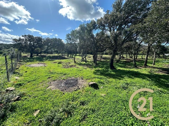 Grunde uden byggetilladelser til salg i Medina-Sidonia - € 180.000 (Ref: 9902683)
