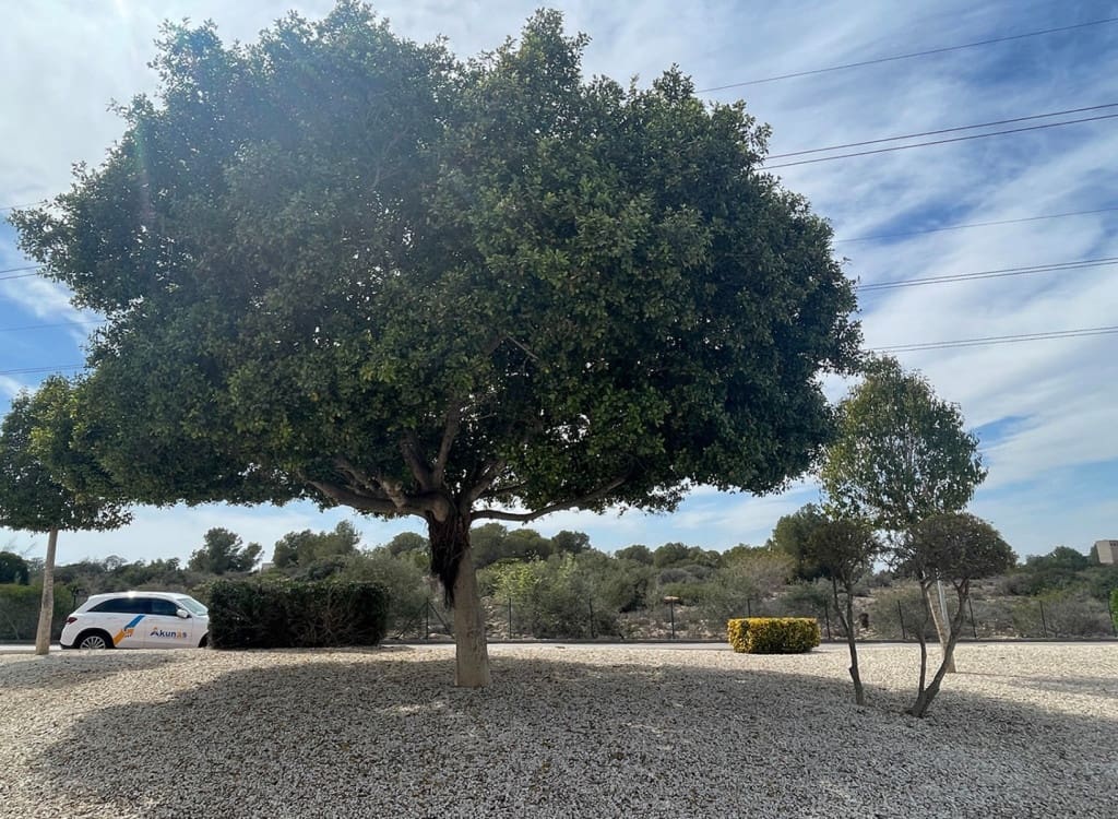 3 bedroom Villa for sale in Lo Crispin, Algorfa with pool garage € 175,000 (Ref 8321296)