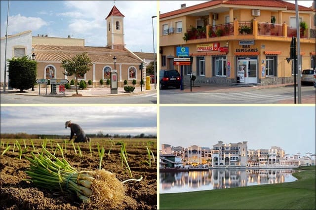 3 soveværelse Villa til salg i Roldan, Torre-Pacheco med swimmingpool garage - € 399.000 (Ref: 8988012)