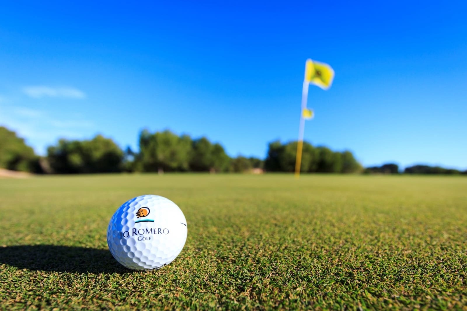 3 Zimmer Villa zu verkaufen in Pilar de la Horadada mit Pool - 499.000 € (Ref: 9231454)