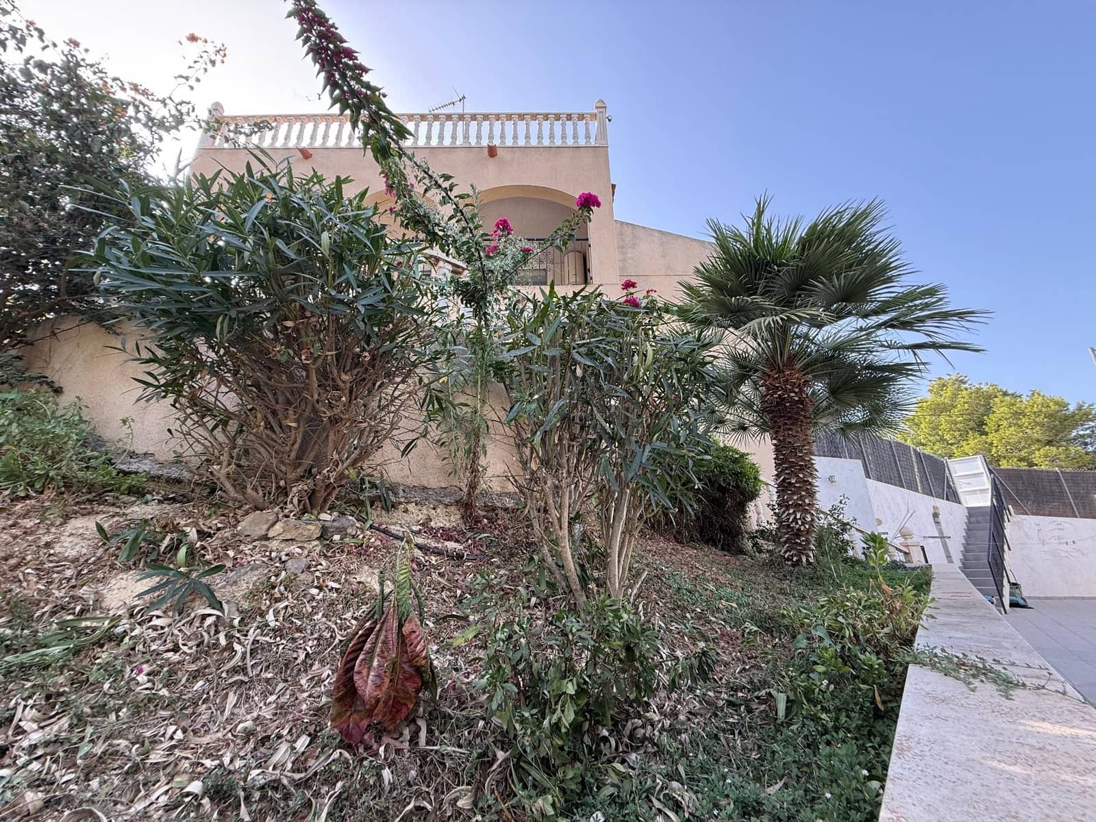 3 bedroom Villa for sale in Canada de San Pedro with pool garage - € 300,000 (Ref: 10035555)