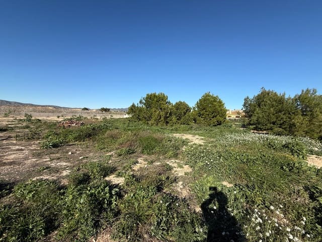 Area Edificabile in vendita in Gea y Truyols, Murcia città - 260.000 € (Rif: 10089623)