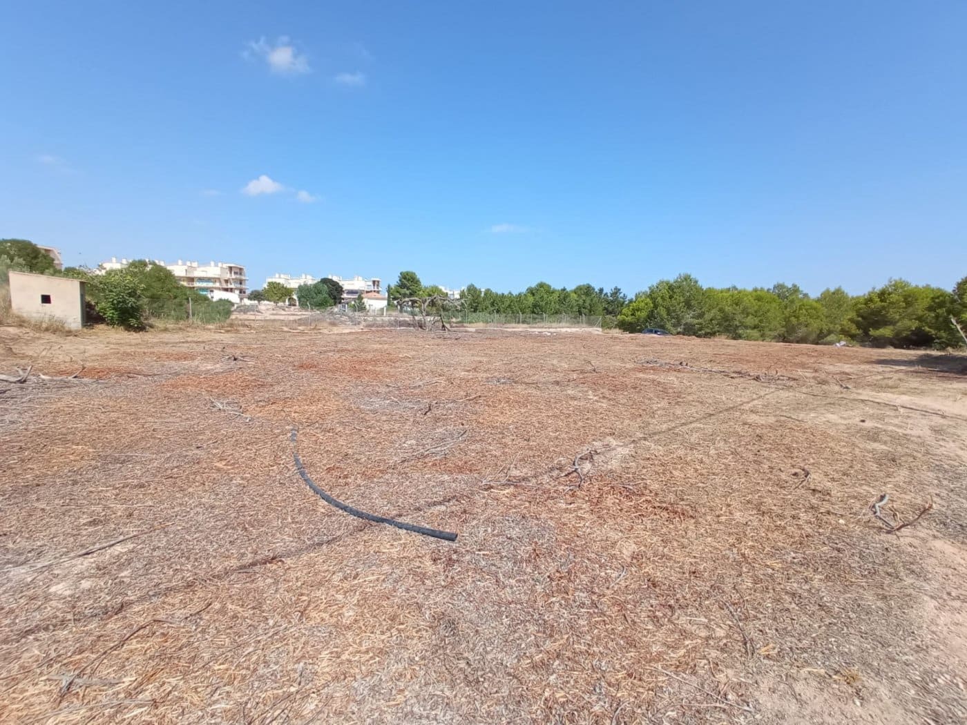 Undeveloped Land for sale in Gea y Truyols - € 55,000 (Ref: 7452656)