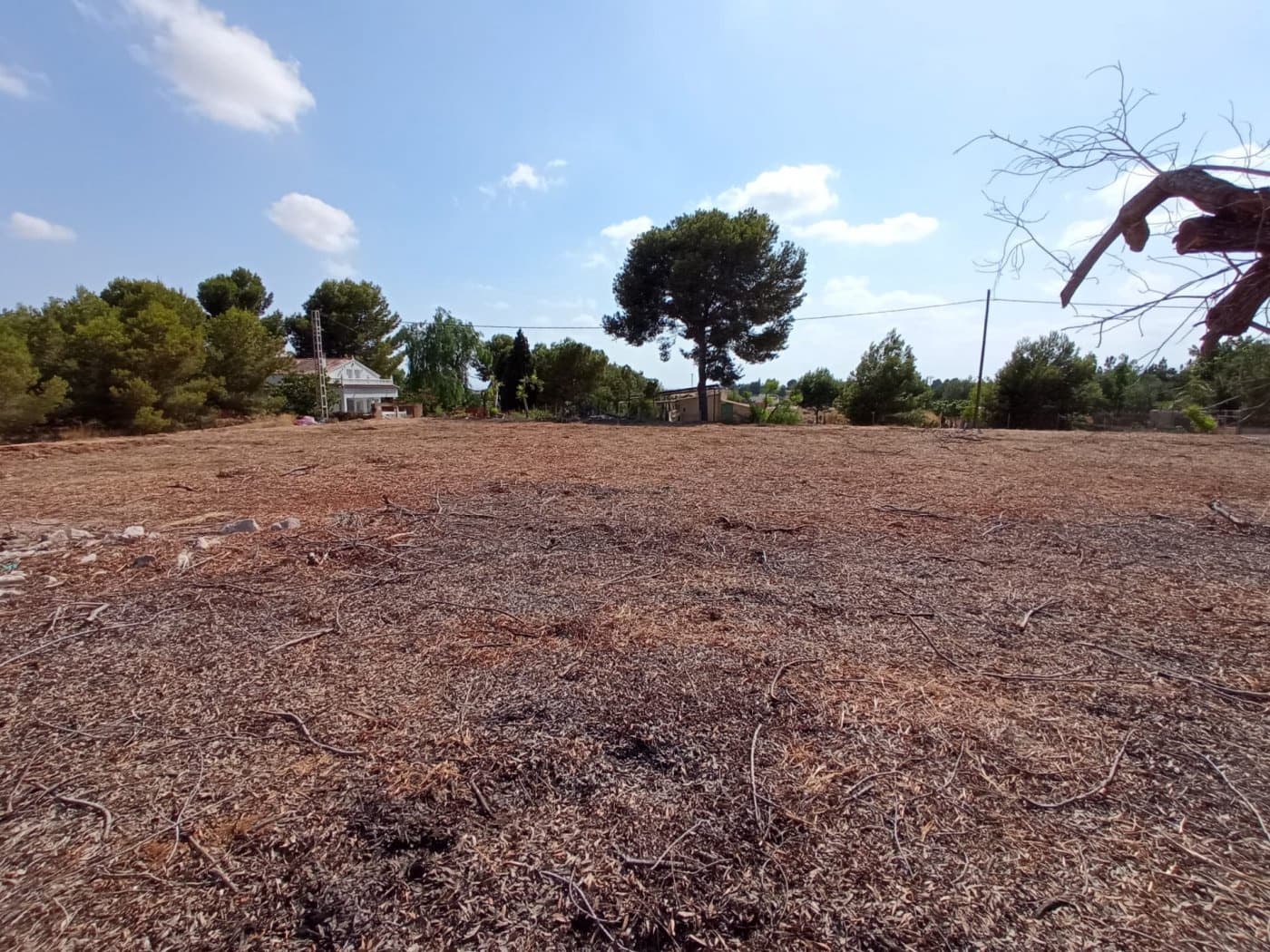 Undeveloped Land for sale in Gea y Truyols - € 55,000 (Ref: 7452656)