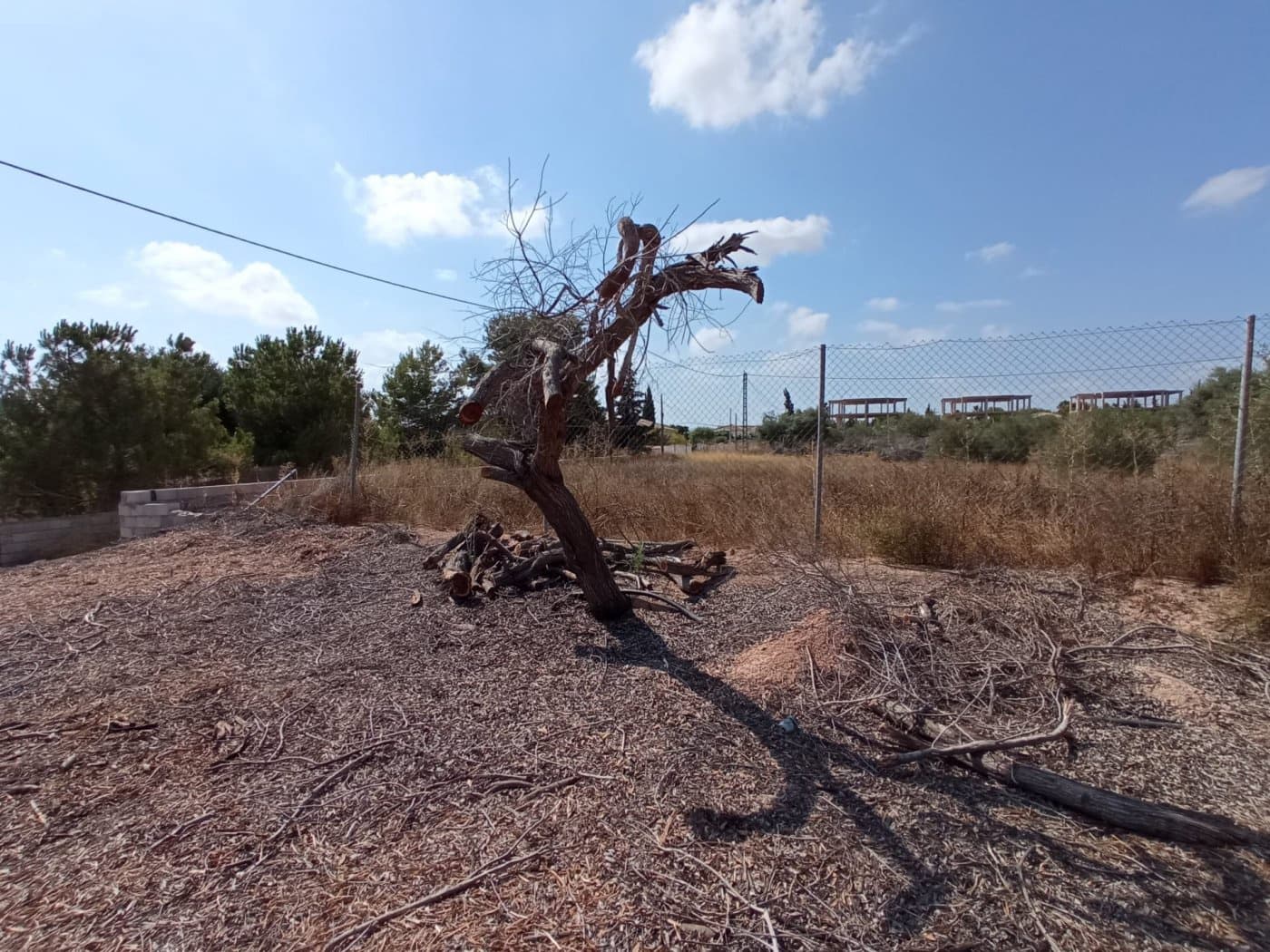 Undeveloped Land for sale in Gea y Truyols - € 55,000 (Ref: 7452656)