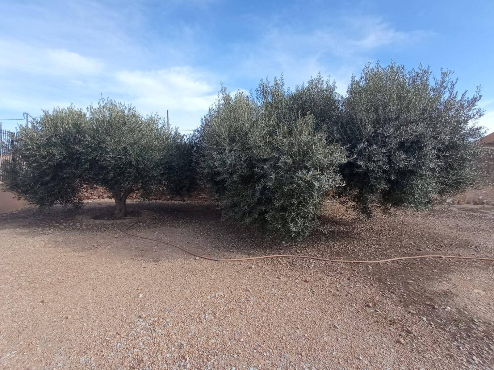 Finca/Casa Rural de 4 habitaciones en Torre-Pacheco en venta con garaje - 250.000 € (Ref: 7477437)