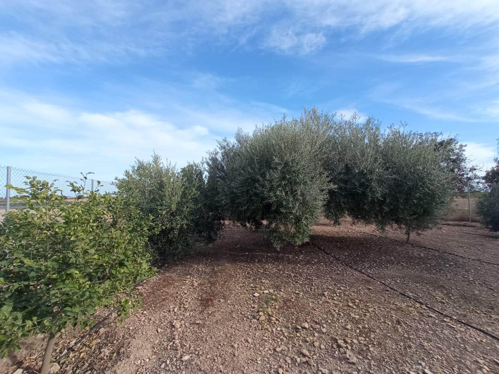 Finca/Casa Rural de 4 habitaciones en Torre-Pacheco en venta con garaje - 250.000 € (Ref: 7477437)