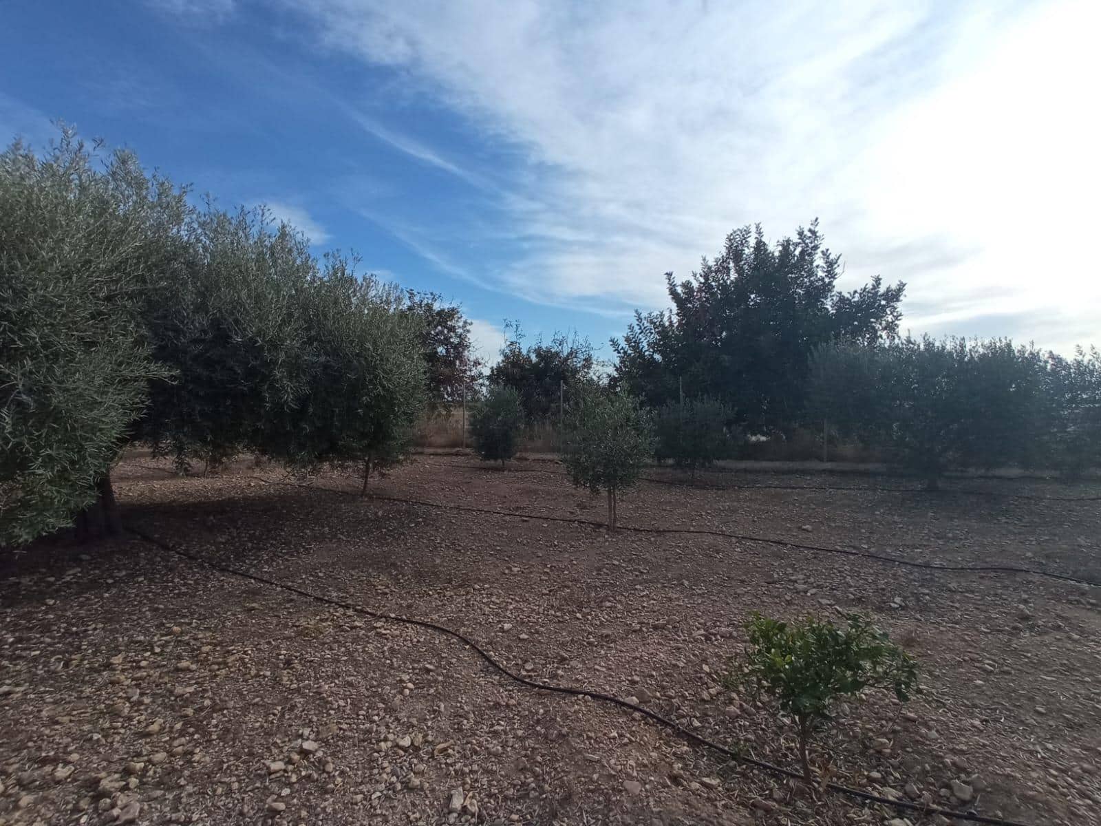 Finca/Casa Rural de 4 habitaciones en Torre-Pacheco en venta con garaje - 250.000 € (Ref: 7477437)