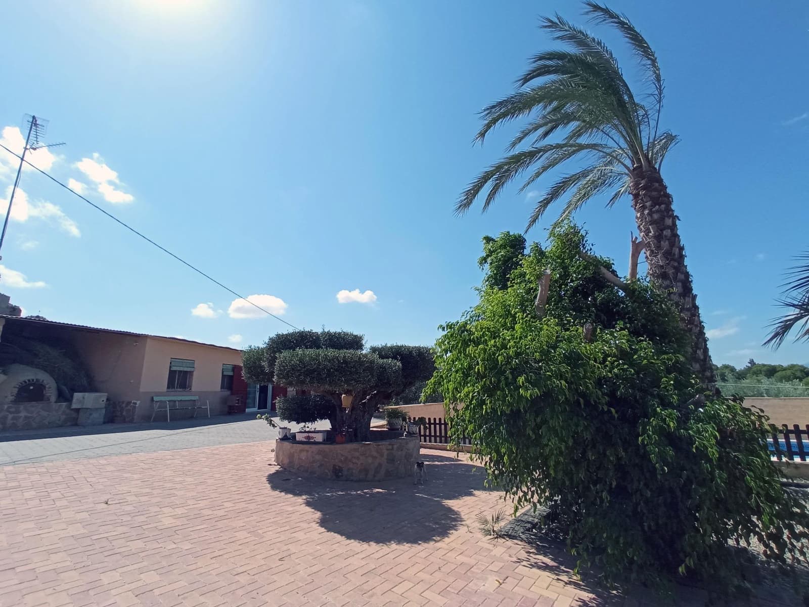 4 bedroom Finca/Country House for sale in Canada de San Pedro with pool - € 255,000 (Ref: 7717646)