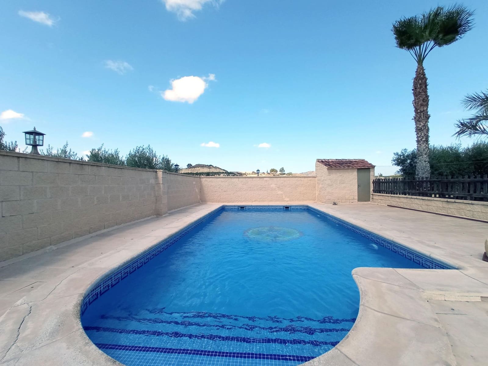 4 bedroom Finca/Country House for sale in Canada de San Pedro with pool - € 255,000 (Ref: 7717646)