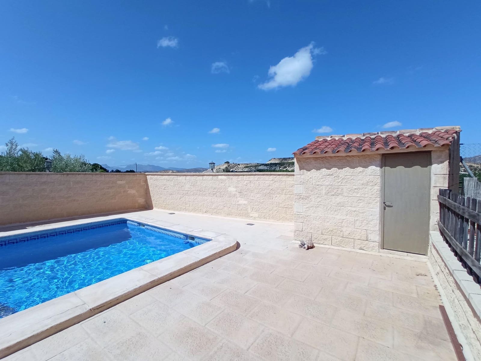 4 bedroom Finca/Country House for sale in Canada de San Pedro with pool - € 255,000 (Ref: 7717646)