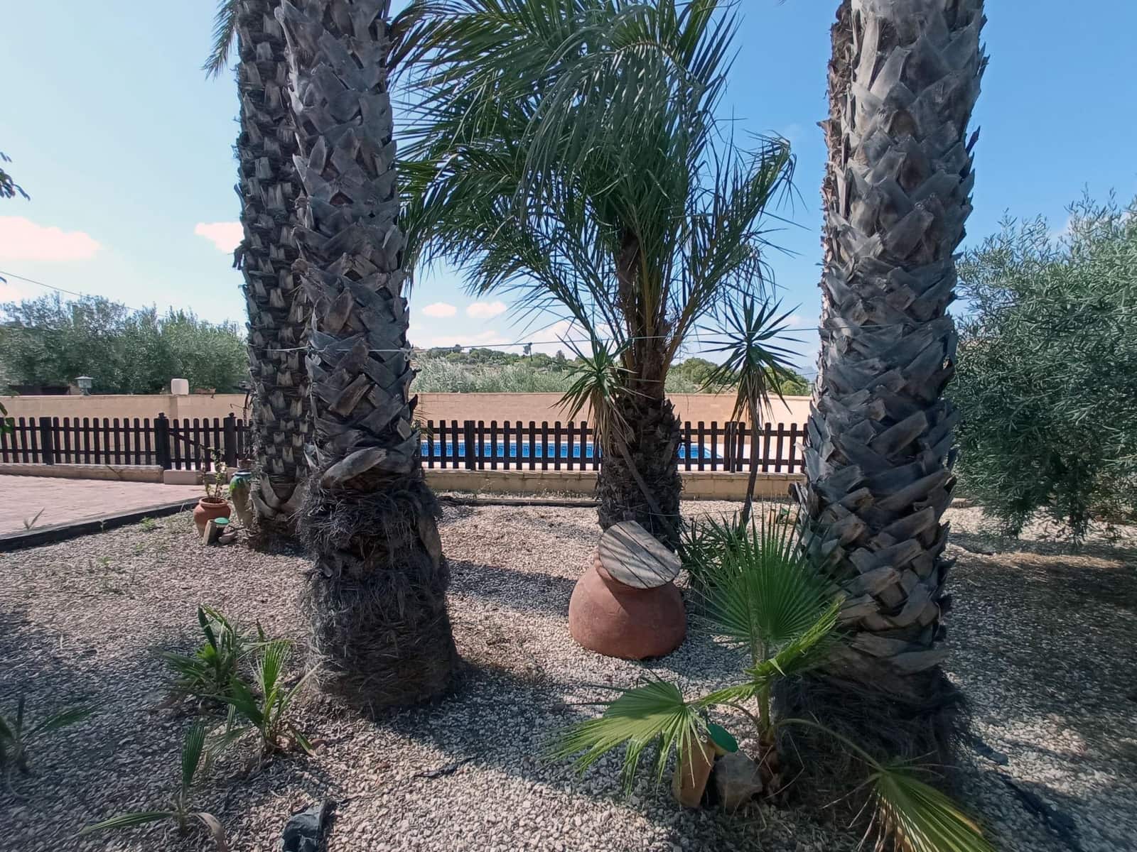 4 bedroom Finca/Country House for sale in Canada de San Pedro with pool - € 255,000 (Ref: 7717646)