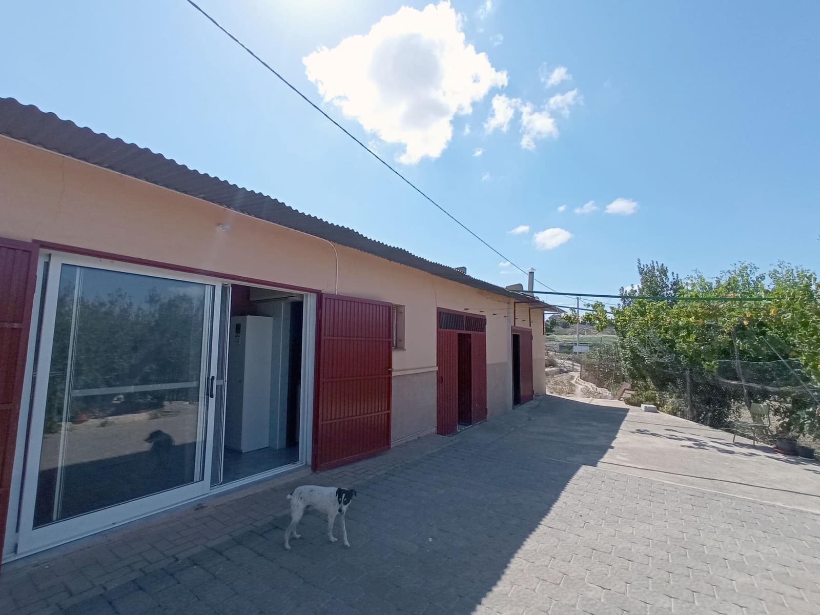 4 bedroom Finca/Country House for sale in Canada de San Pedro with pool - € 255,000 (Ref: 7717646)