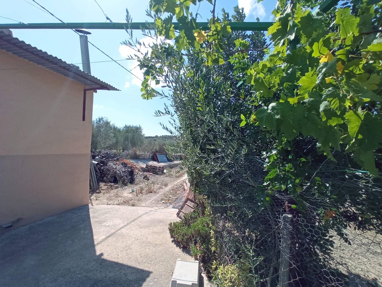 4 bedroom Finca/Country House for sale in Canada de San Pedro with pool - € 255,000 (Ref: 7717646)