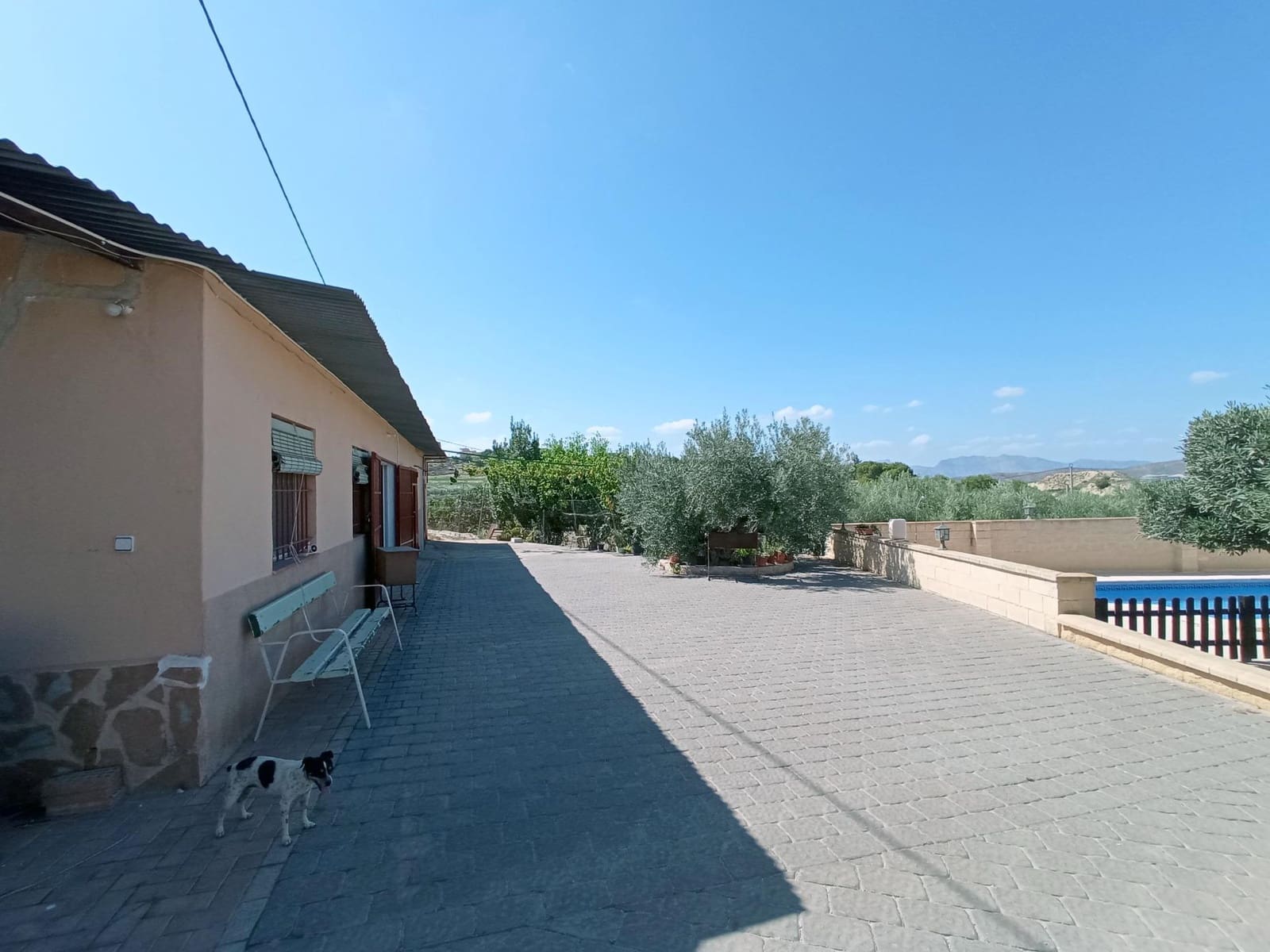 4 bedroom Finca/Country House for sale in Canada de San Pedro with pool - € 255,000 (Ref: 7717646)