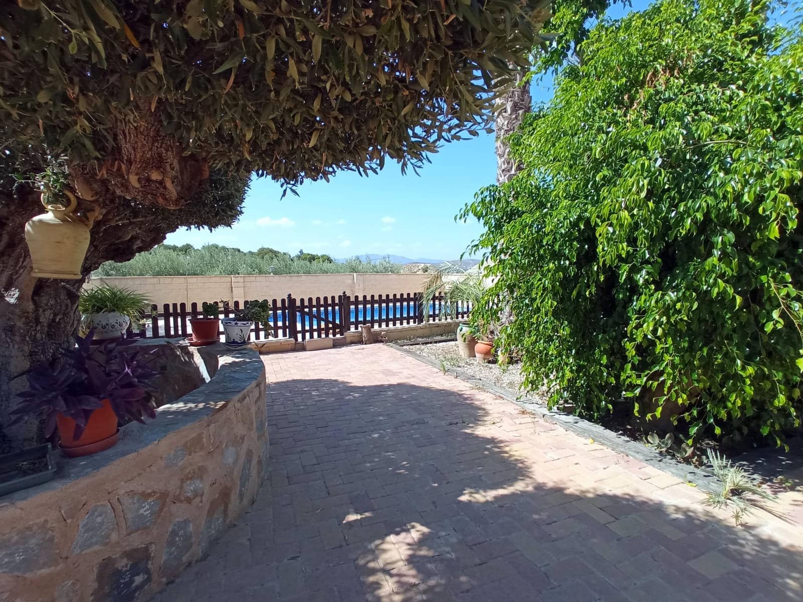 4 bedroom Finca/Country House for sale in Canada de San Pedro with pool - € 255,000 (Ref: 7717646)