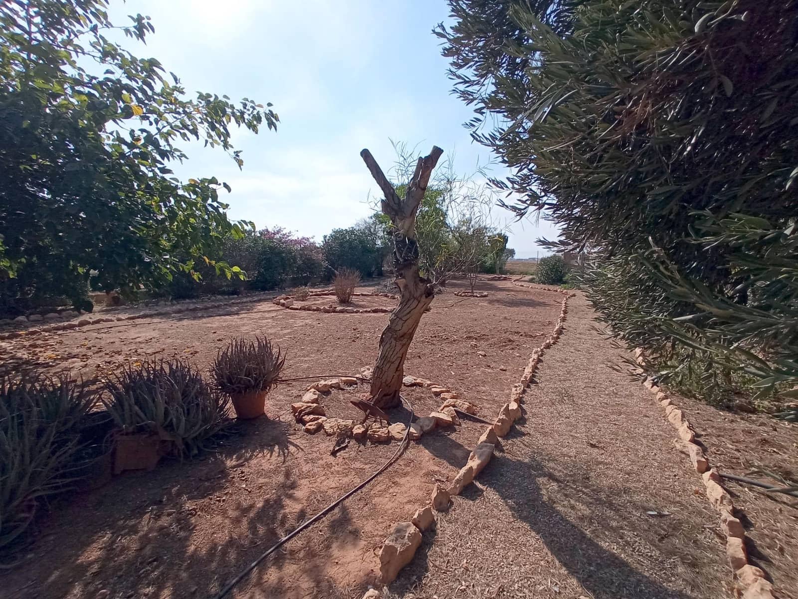 3 soverom Finca/Herregård til salgs i Fuente Alamo de Murcia - € 159 000 (Ref: 7783334)