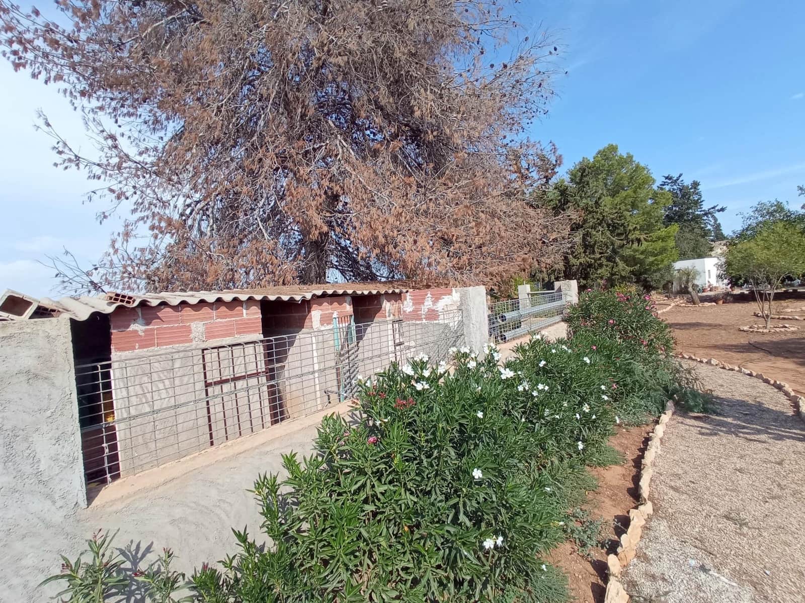 3 soverom Finca/Herregård til salgs i Fuente Alamo de Murcia - € 159 000 (Ref: 7783334)