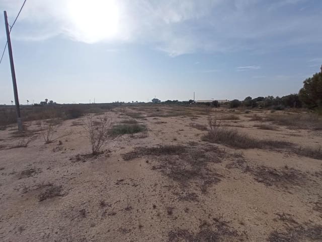 2 sypialnia Finka/Dom wiejski na sprzedaż w Torre-Pacheco - 200 000 € (Ref: 7849902)