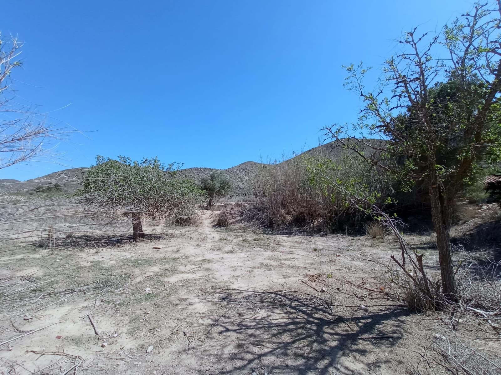 3 soveværelse Finca/Landehus til salg i Tallante - € 139.000 (Ref: 8676500)