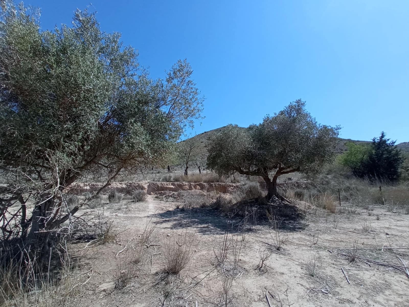 3 soveværelse Finca/Landehus til salg i Tallante - € 139.000 (Ref: 8676500)