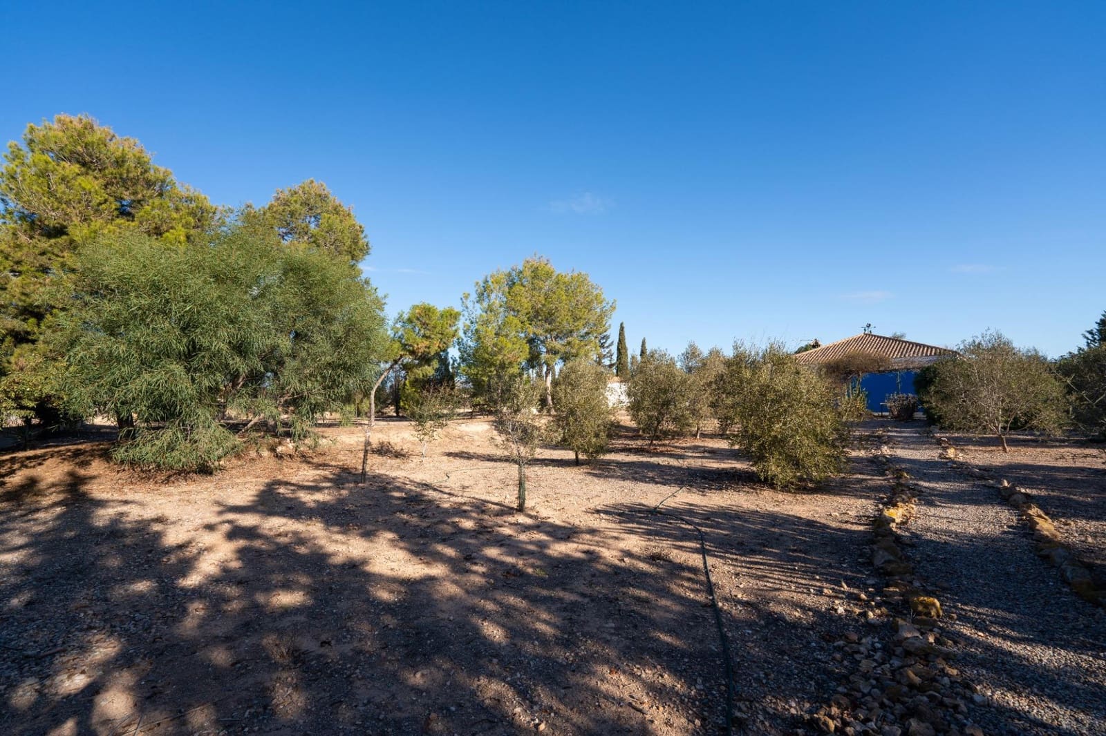 Finca/Casa Rural de 3 habitaciones en Gea y Truyols en venta con piscina - 265.000 € (Ref: 8676506)