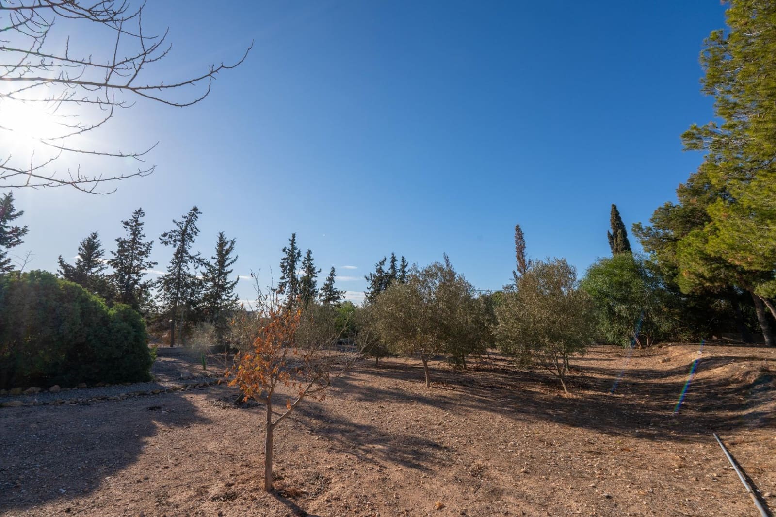 Finca/Casa Rural de 3 habitaciones en Gea y Truyols en venta con piscina - 265.000 € (Ref: 8676506)