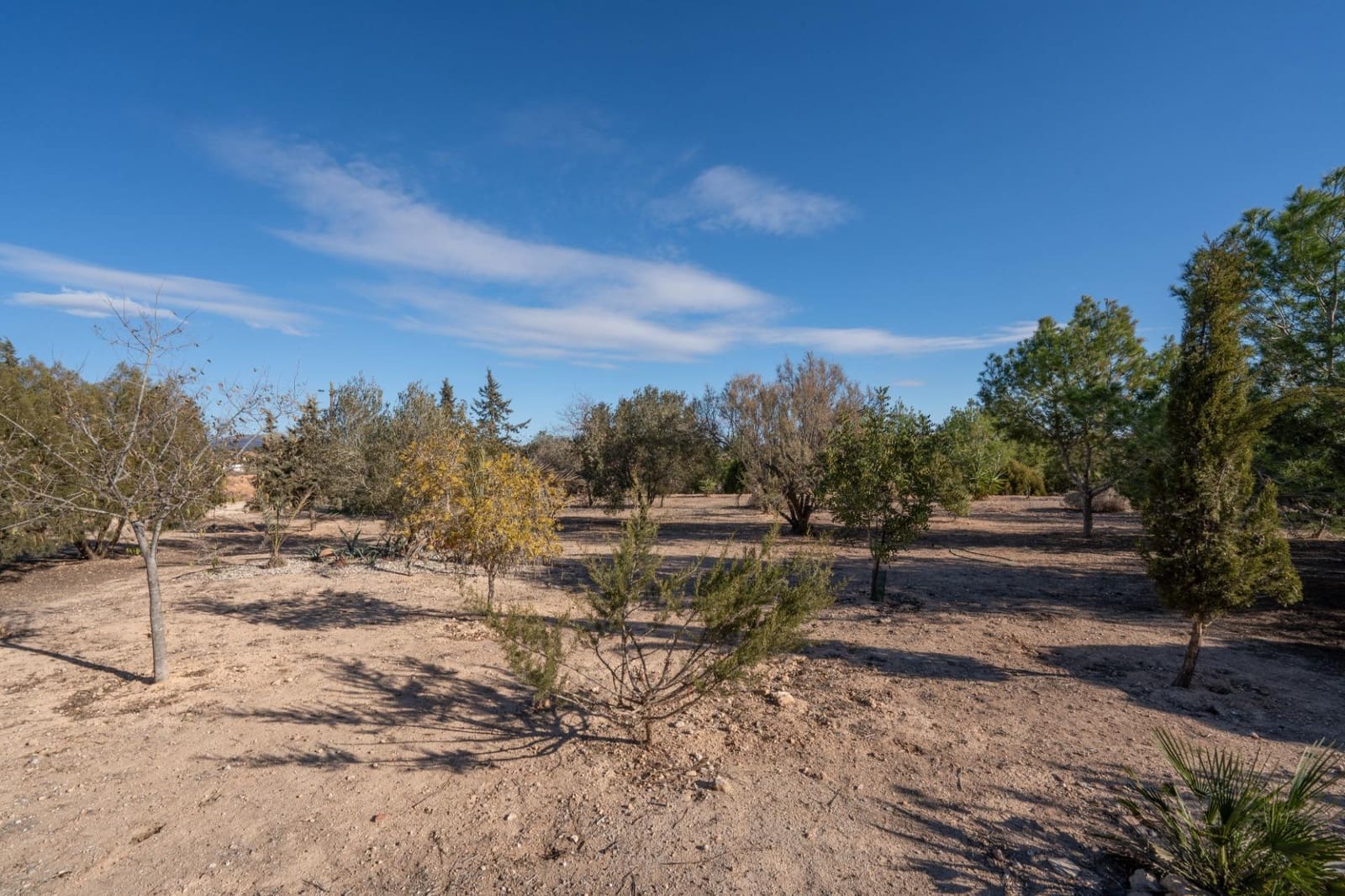 Finca/Casa Rural de 3 habitaciones en Gea y Truyols en venta con piscina - 265.000 € (Ref: 8676506)