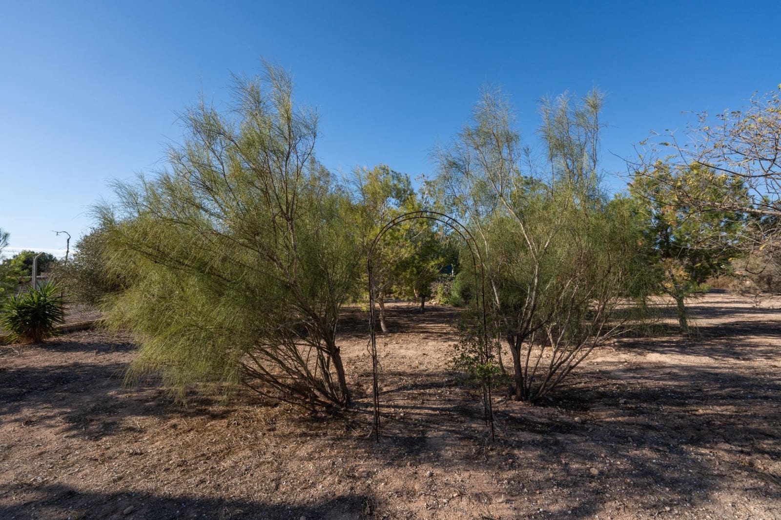 Finca/Casa Rural de 3 habitaciones en Gea y Truyols en venta con piscina - 265.000 € (Ref: 8676506)