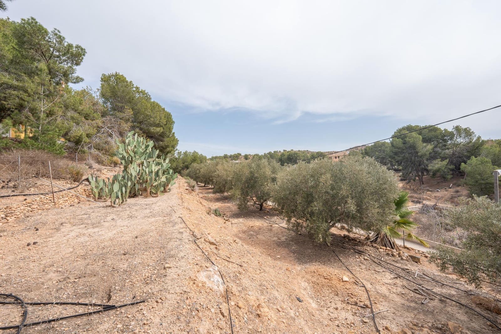 4 soveværelse Villa til salg i El Esparragal med swimmingpool garage - € 395.000 (Ref: 8676511)