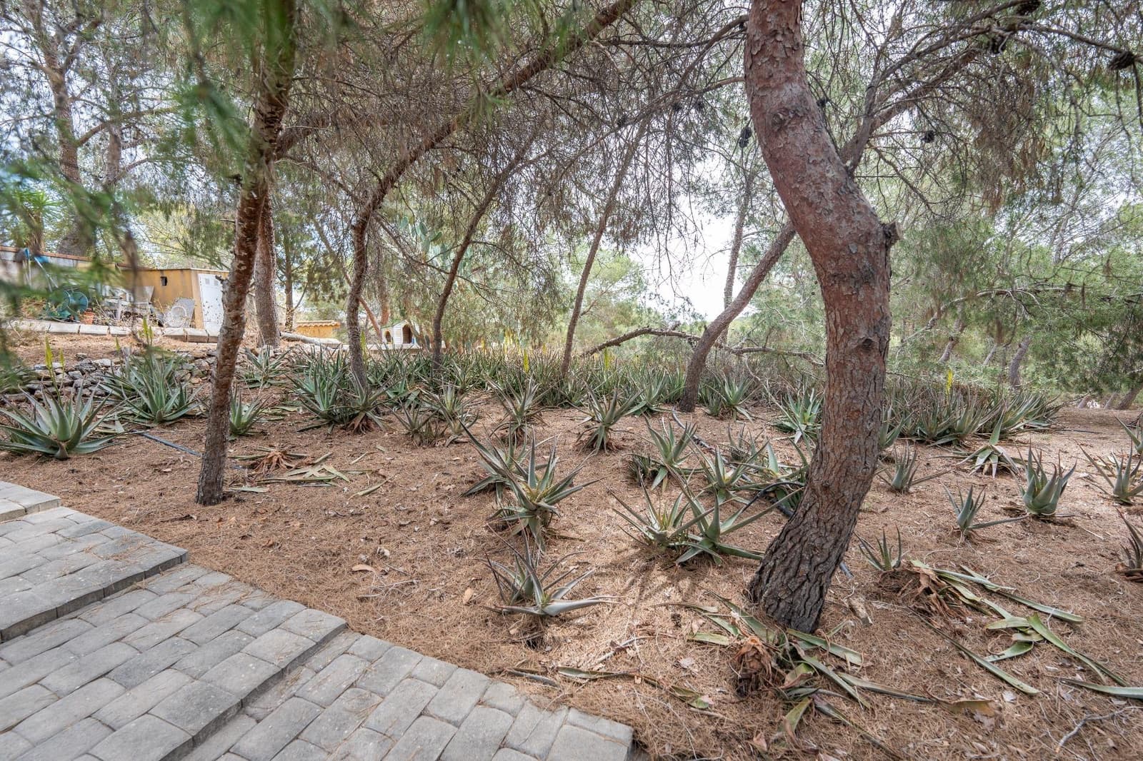 4 soveværelse Villa til salg i El Esparragal med swimmingpool garage - € 395.000 (Ref: 8676511)