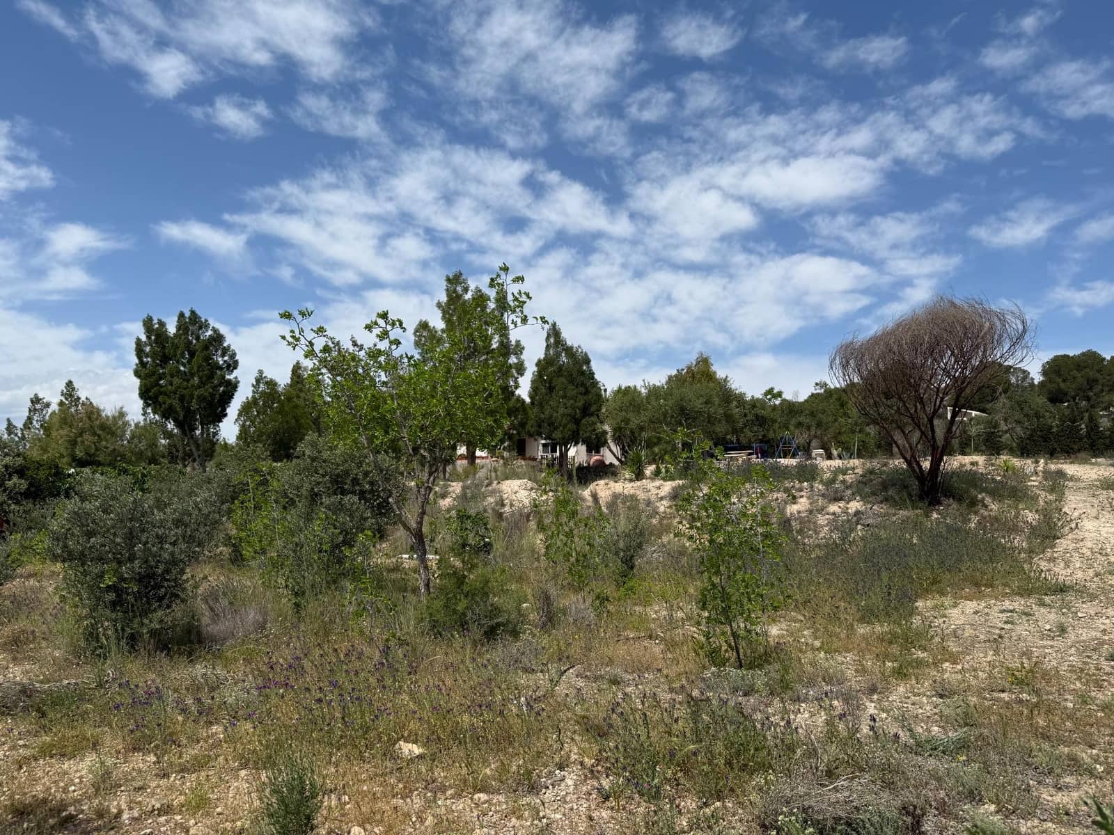 3 makuuhuone Maalaistalo myytävänä paikassa Gea y Truyols mukana uima-altaan - 239 000 € (Ref: 8952606)