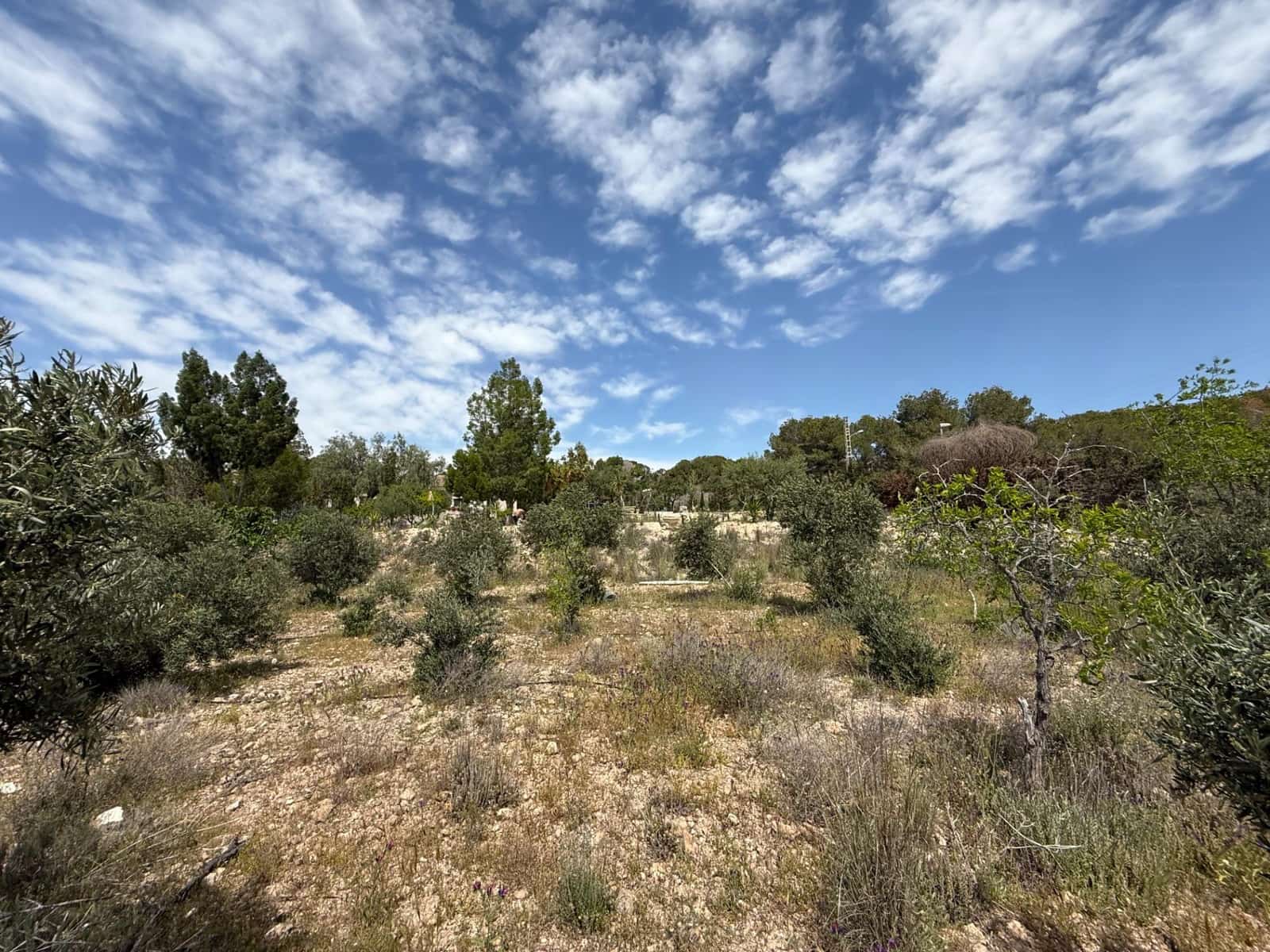 3 makuuhuone Maalaistalo myytävänä paikassa Gea y Truyols mukana uima-altaan - 239 000 € (Ref: 8952606)