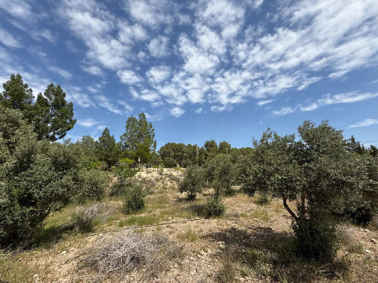 3 makuuhuone Maalaistalo myytävänä paikassa Gea y Truyols mukana uima-altaan - 239 000 € (Ref: 8952606)