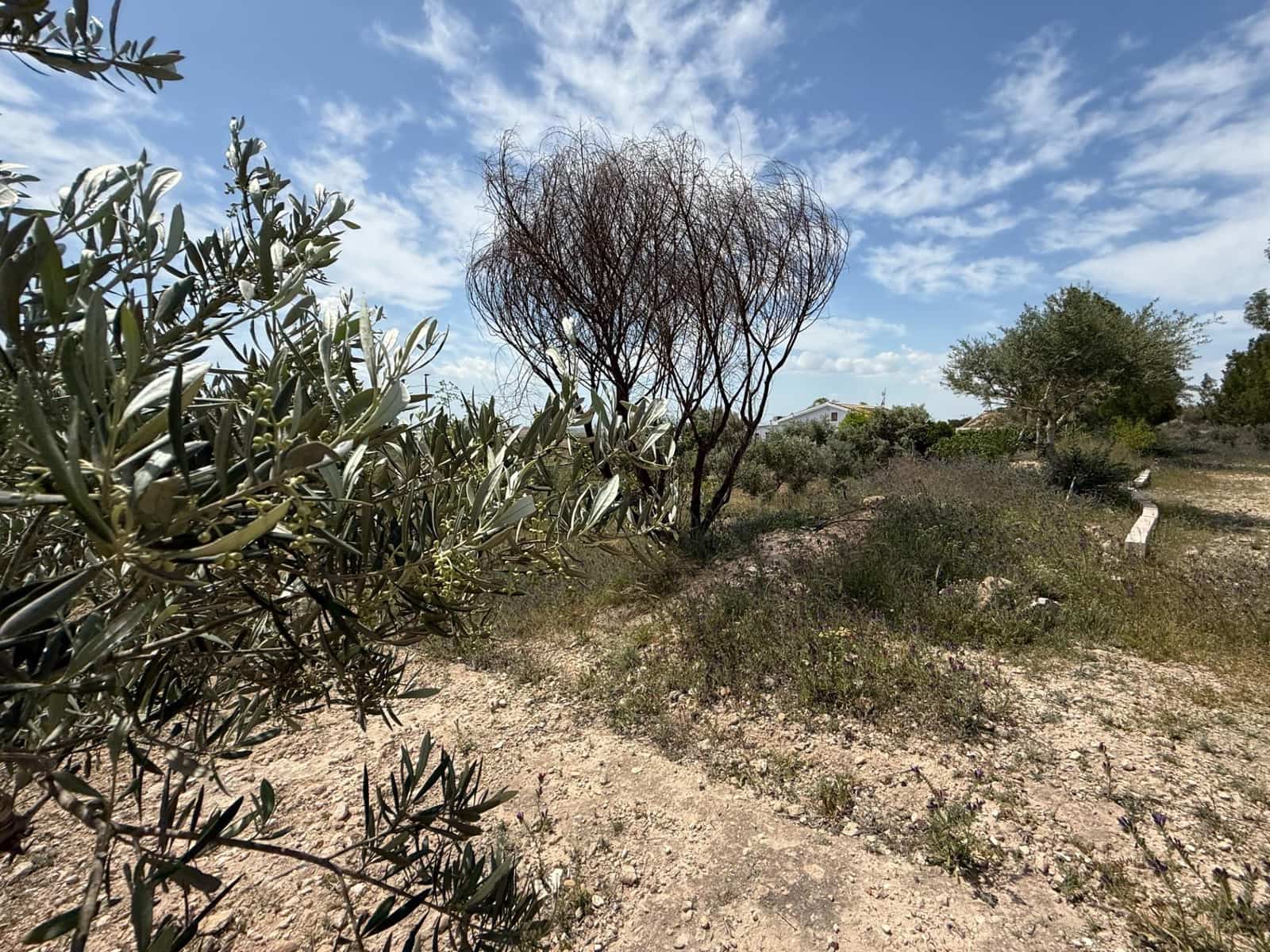 3 makuuhuone Maalaistalo myytävänä paikassa Gea y Truyols mukana uima-altaan - 239 000 € (Ref: 8952606)