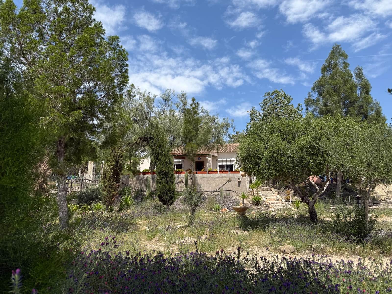 3 makuuhuone Maalaistalo myytävänä paikassa Gea y Truyols mukana uima-altaan - 239 000 € (Ref: 8952606)