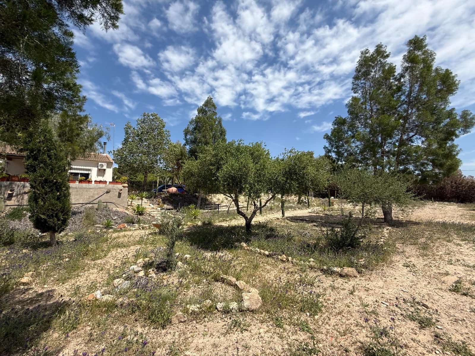 3 makuuhuone Maalaistalo myytävänä paikassa Gea y Truyols mukana uima-altaan - 239 000 € (Ref: 8952606)