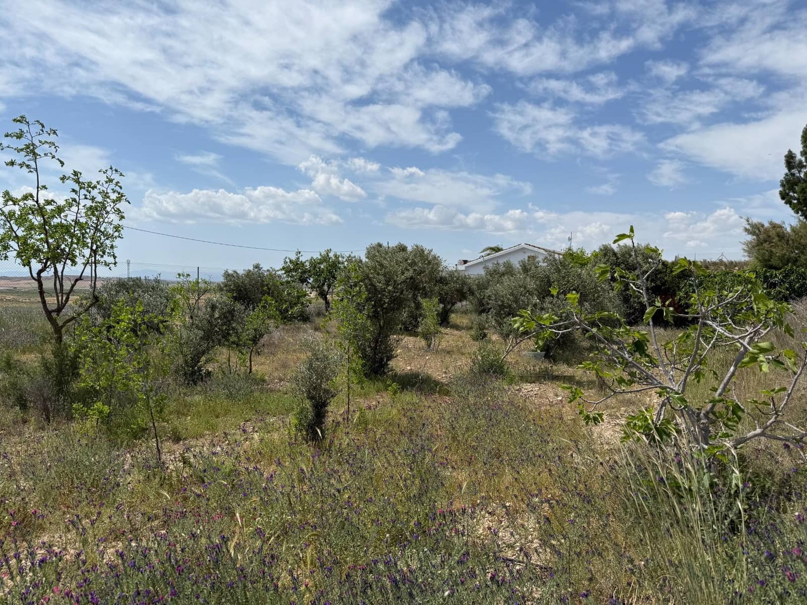 3 makuuhuone Maalaistalo myytävänä paikassa Gea y Truyols mukana uima-altaan - 239 000 € (Ref: 8952606)