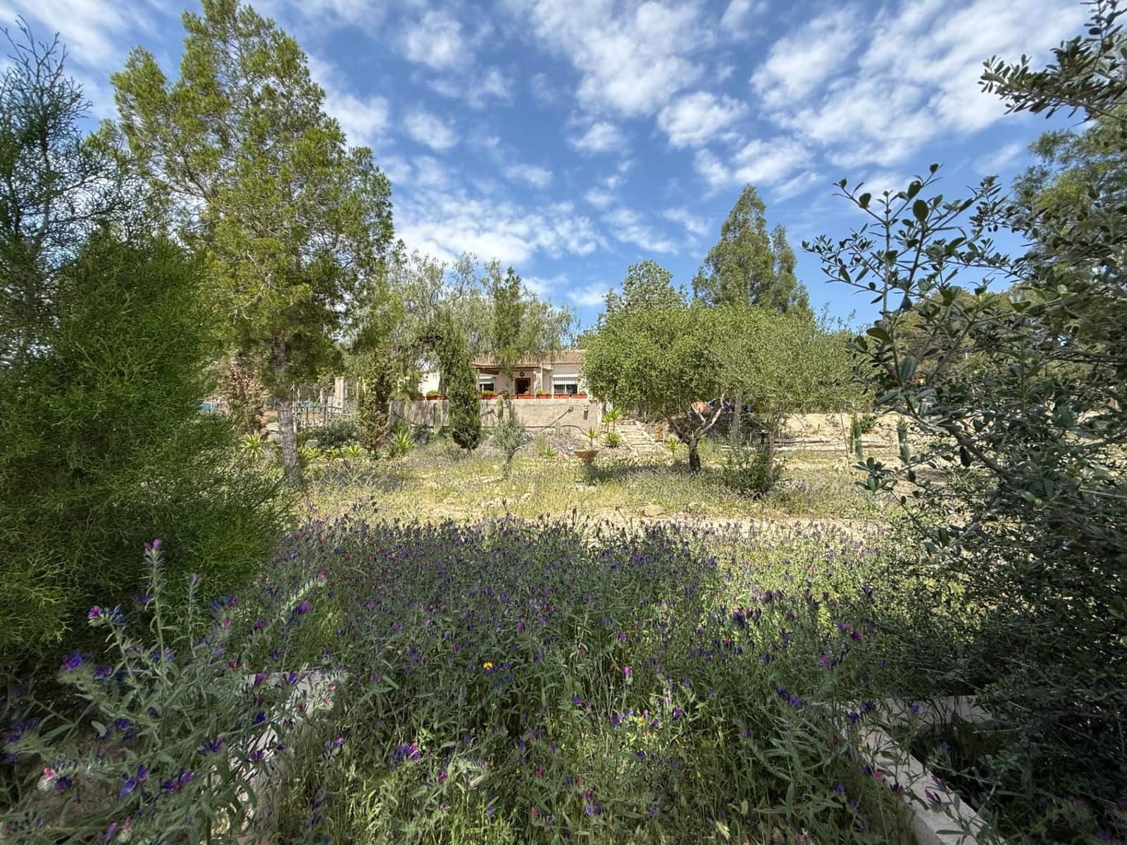 3 makuuhuone Maalaistalo myytävänä paikassa Gea y Truyols mukana uima-altaan - 239 000 € (Ref: 8952606)