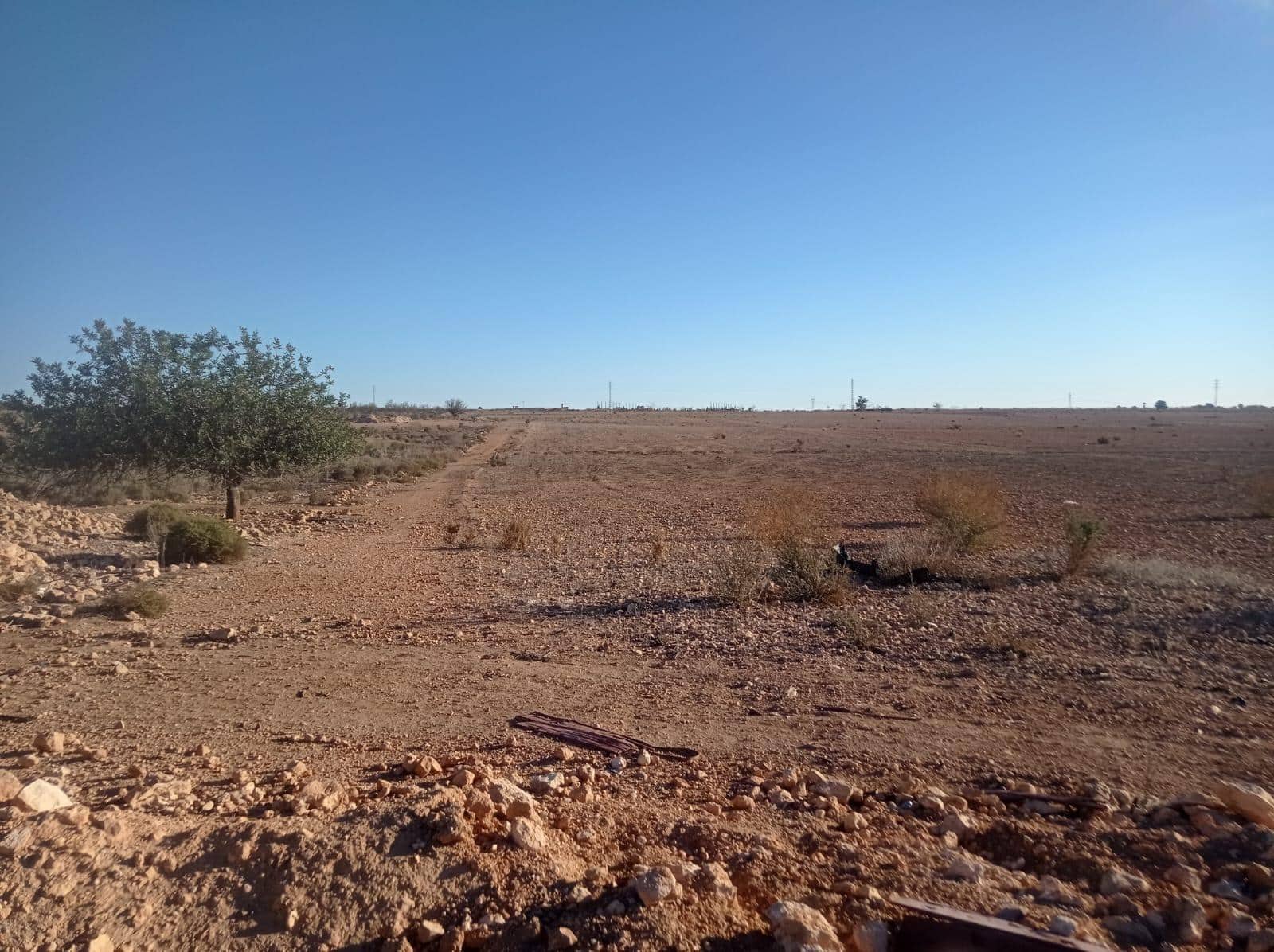 Terreno Não Urbanizado para venda em Avileses - 159 900 € (Ref: 8976326)