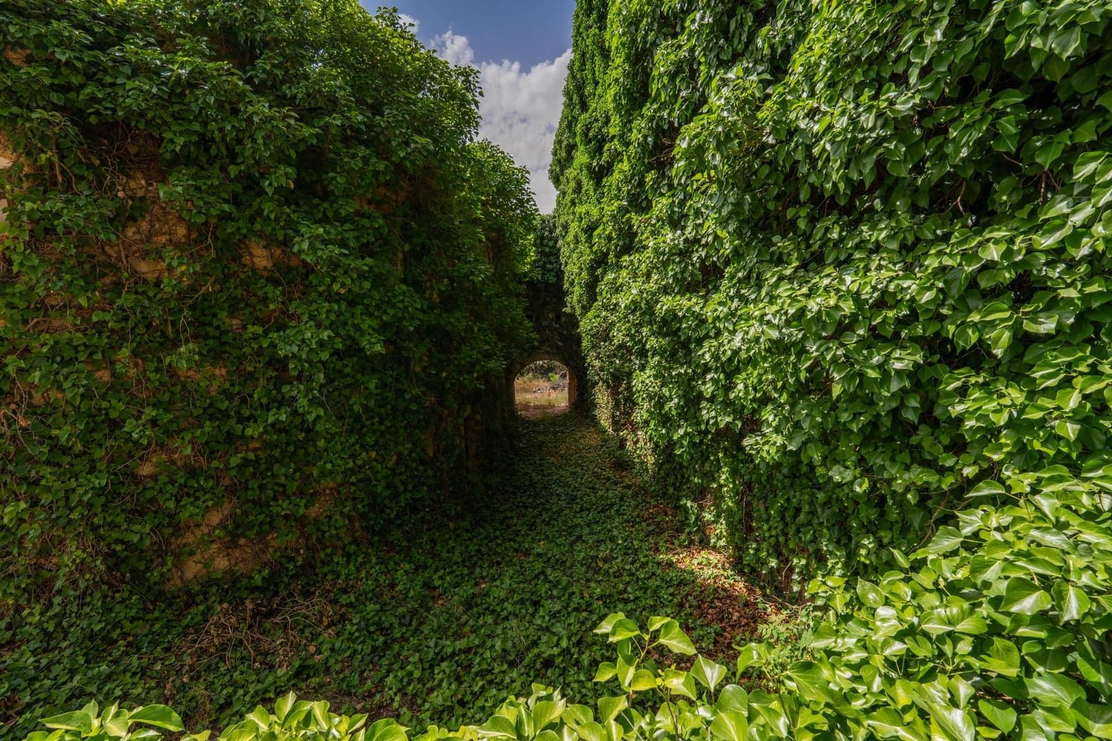 10 soveværelse Finca/Landehus til salg i Caravaca de la Cruz med swimmingpool garage - € 900.000 (Ref: 9073563)