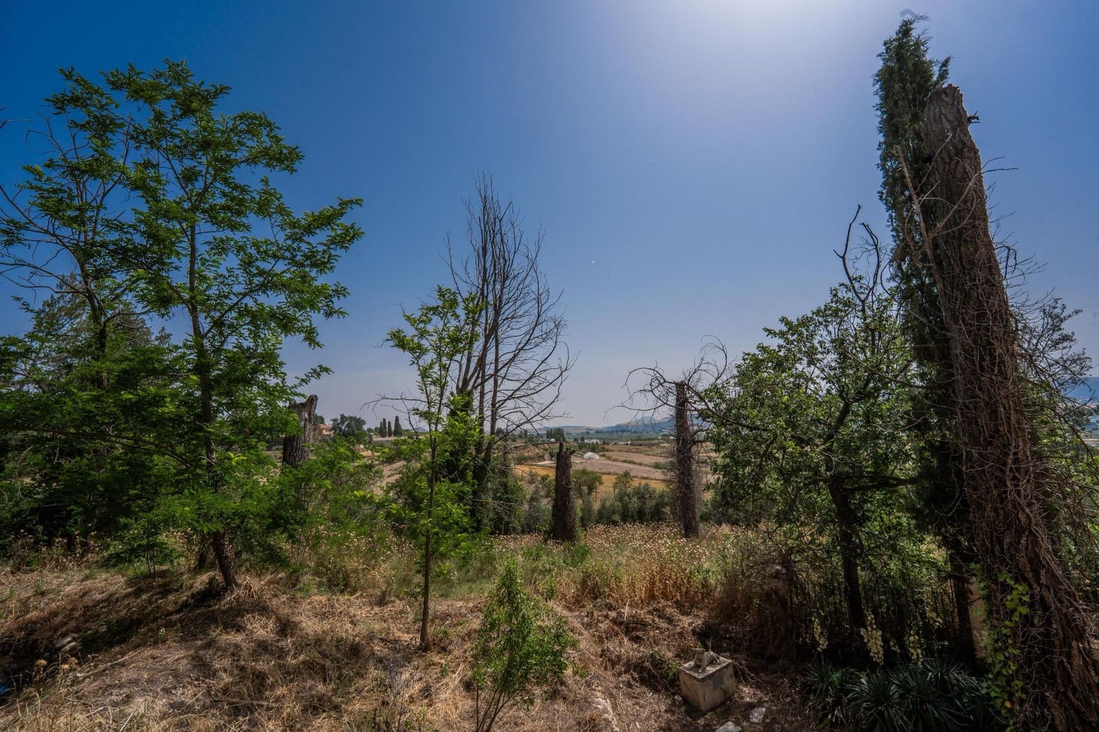 10 soveværelse Finca/Landehus til salg i Caravaca de la Cruz med swimmingpool garage - € 900.000 (Ref: 9073563)