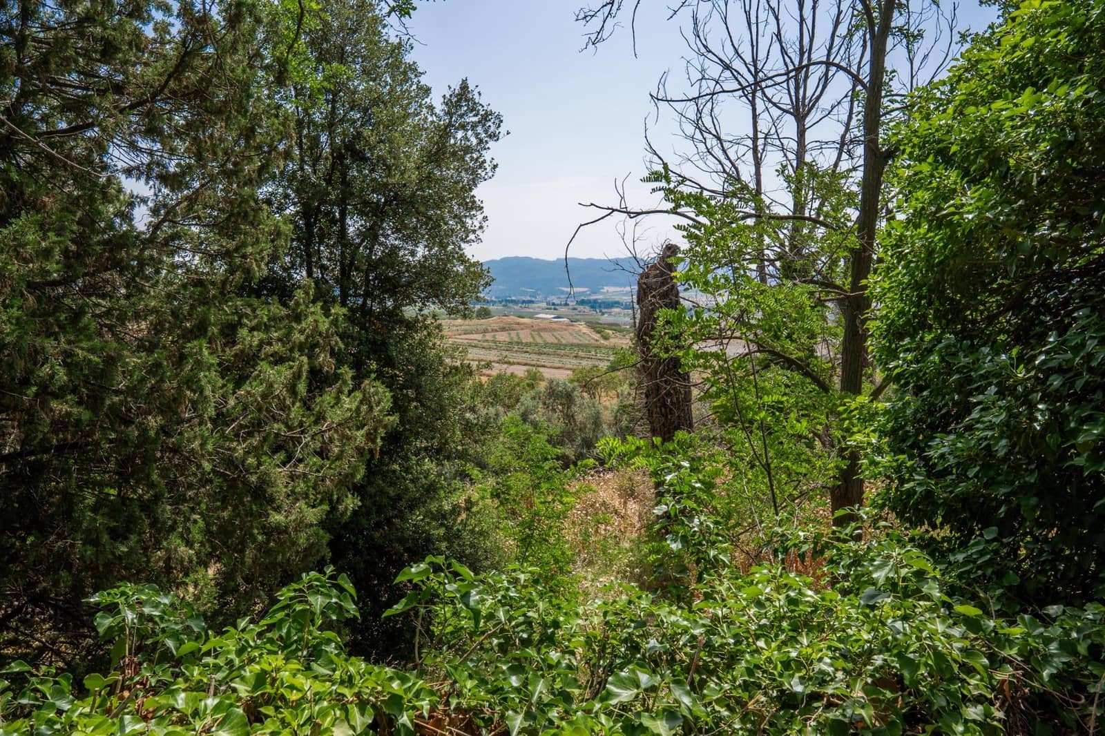 10 soveværelse Finca/Landehus til salg i Caravaca de la Cruz med swimmingpool garage - € 900.000 (Ref: 9073563)