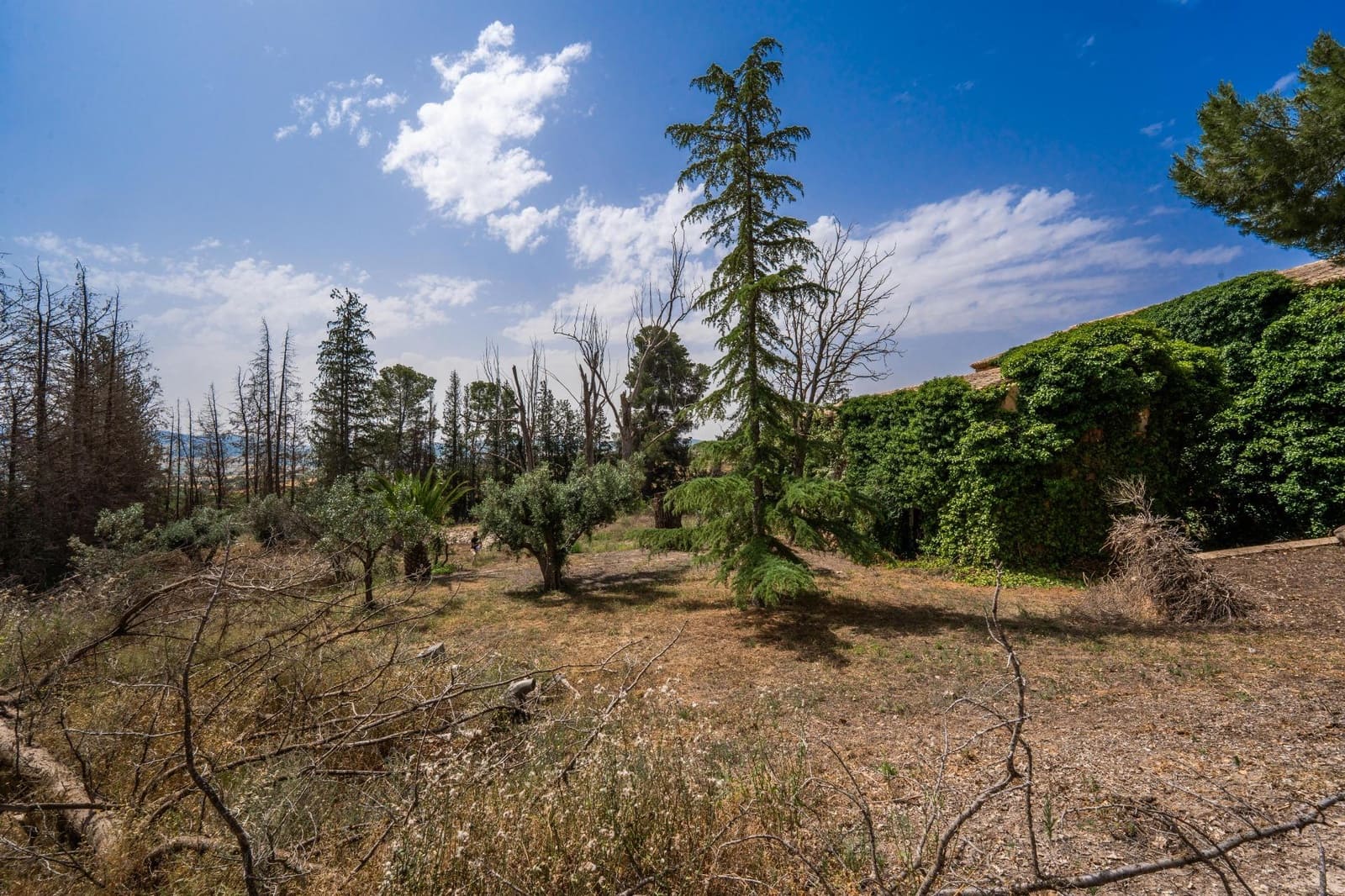 10 soveværelse Finca/Landehus til salg i Caravaca de la Cruz med swimmingpool garage - € 900.000 (Ref: 9073563)