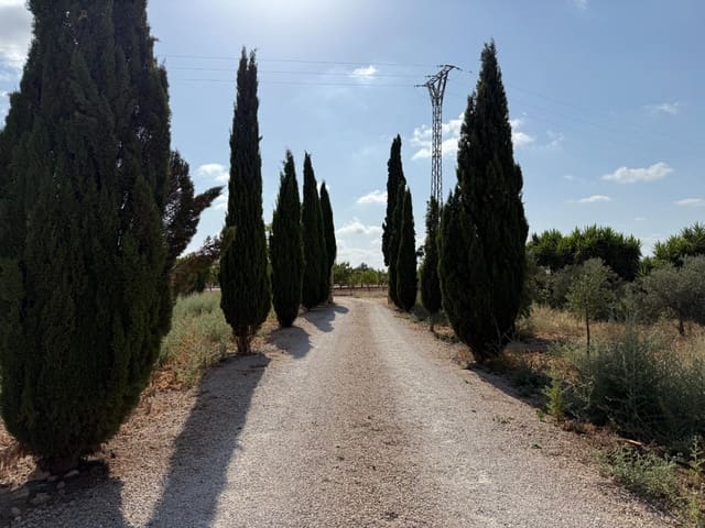 4 soverom Finca/Herregård til salgs i Fuente Alamo de Murcia - € 180 000 (Ref: 9132571)