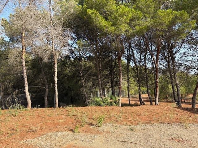 Tomt till salu i La Manga Club, Cartagena - 199 000 € (Ref: 9132572)