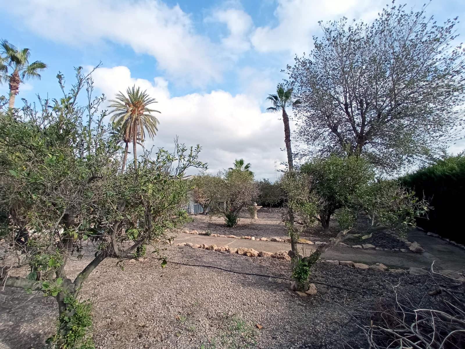 5 soveværelse Finca/Landehus til salg i La Palma med swimmingpool - € 340.000 (Ref: 9132573)