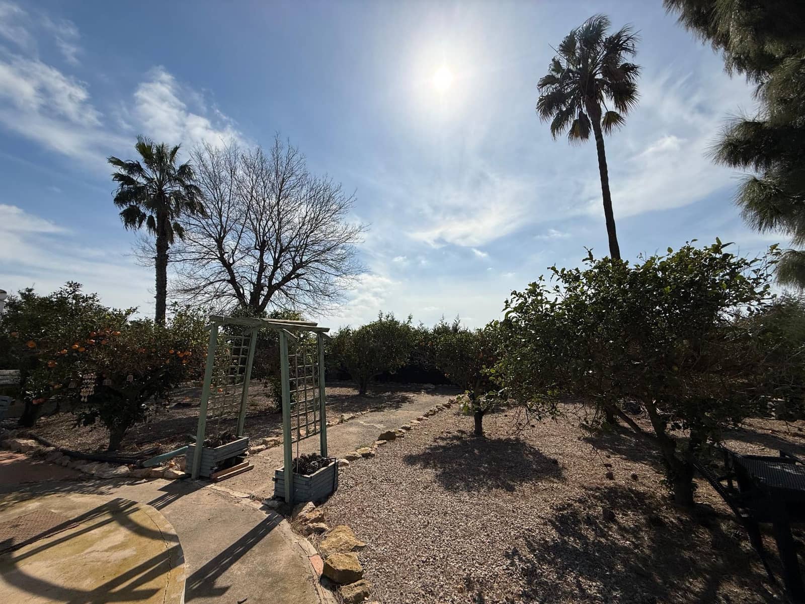 5 camera da letto Finca/Casa di Campagna in vendita in La Palma con piscina - 325.000 € (Rif: 9132573)