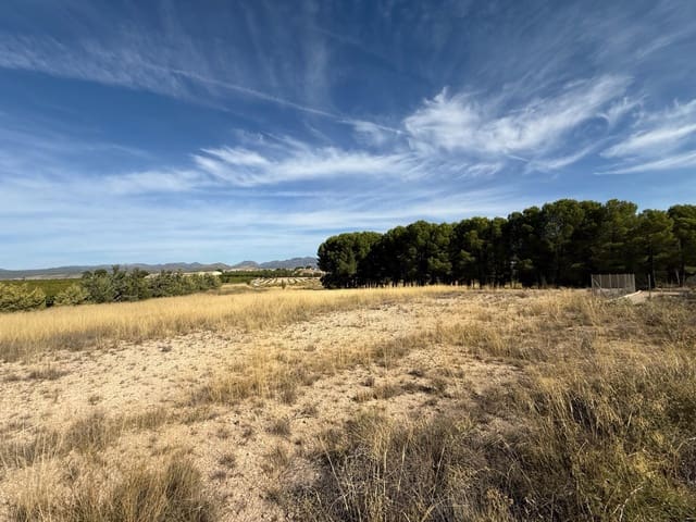 Tomt till salu i Barranda, Caravaca de la Cruz - 149 000 € (Ref: 9206658)