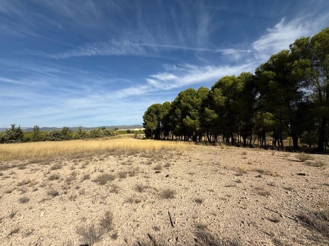 Tomt till salu i Barranda, Caravaca de la Cruz - 149 000 € (Ref: 9206658)